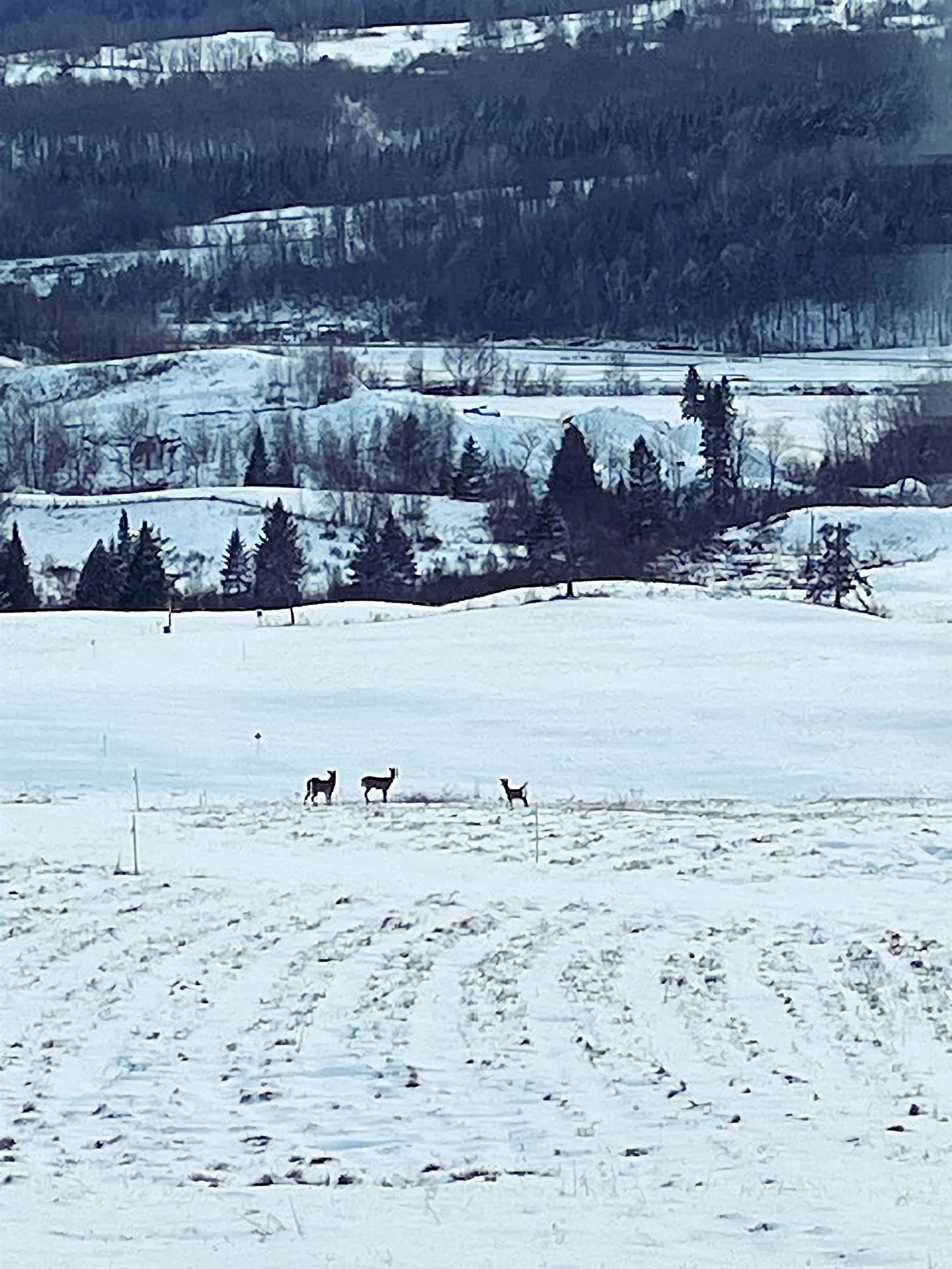 32 Smith Farm Road Barton VT 05822