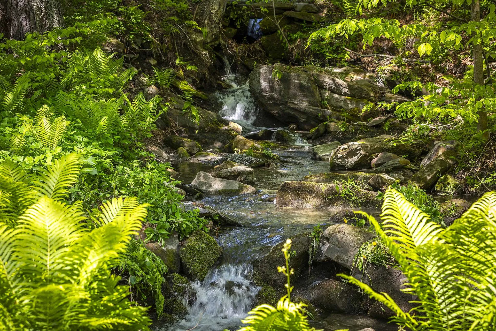 1497 Bowman Road Barnard VT 05031