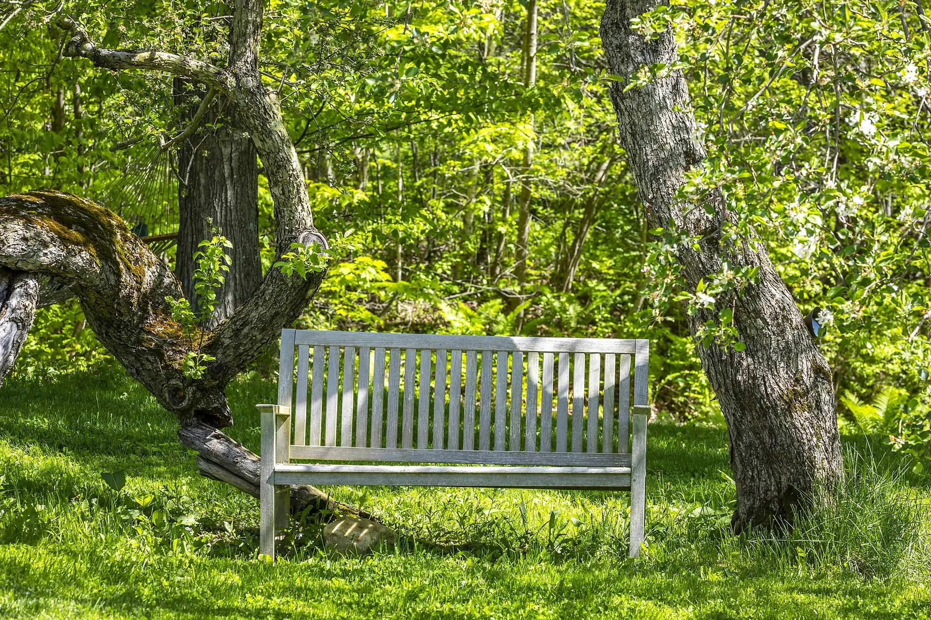 1497 Bowman Road Barnard VT 05031