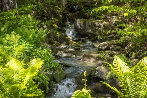 1497 Bowman Road Barnard VT 05031