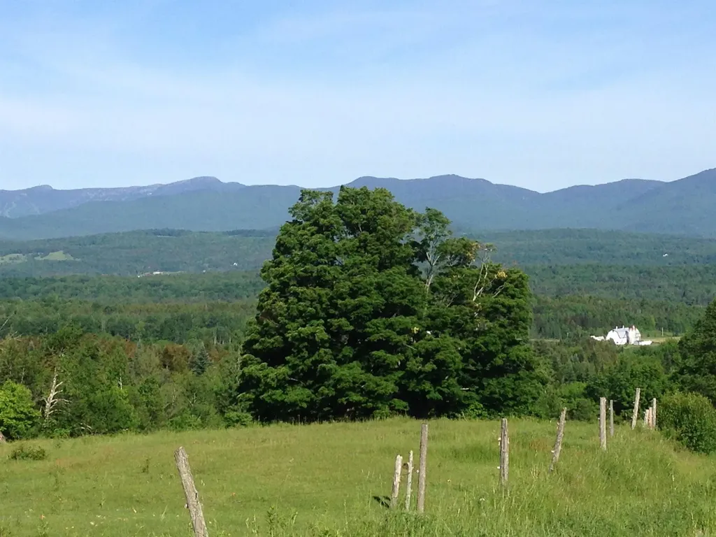 1986 Lower Elmore Mountain Road Morristown VT 05661