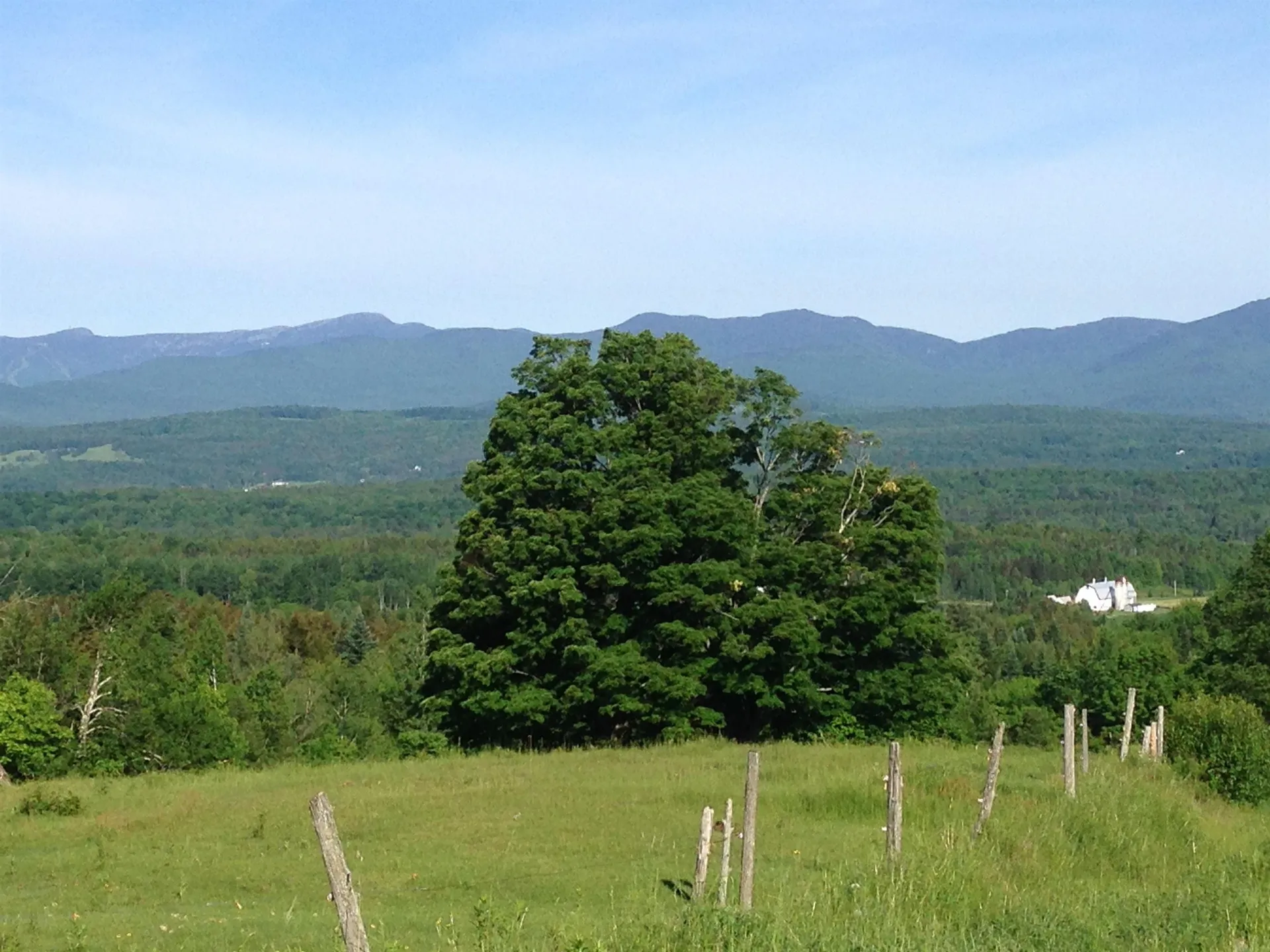 1986 Lower Elmore Mountain Road Morristown VT 05661