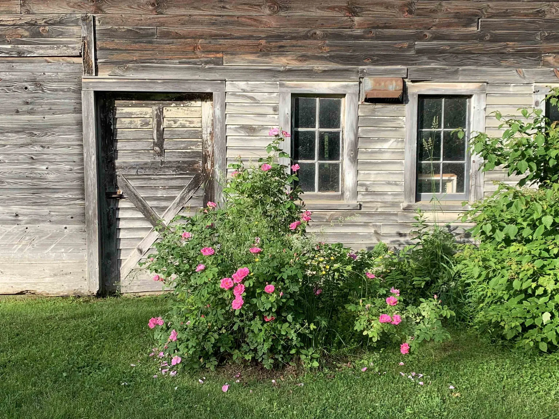 1986 Lower Elmore Mountain Road Morristown VT 05661