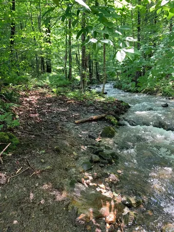 1986 Lower Elmore Mountain Road Morristown VT 05661