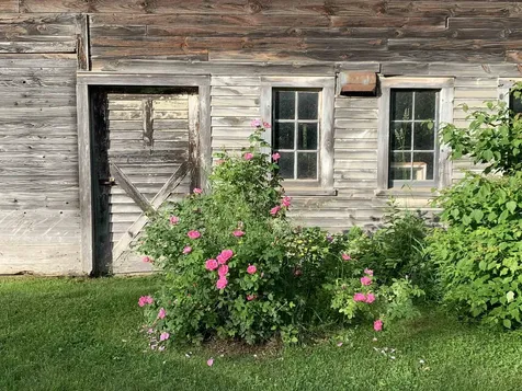 1986 Lower Elmore Mountain Road Morristown VT 05661