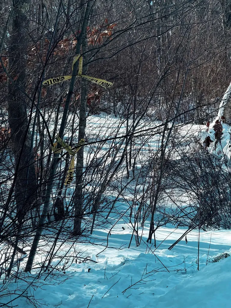 8 Mark Avenue Derry NH 03038