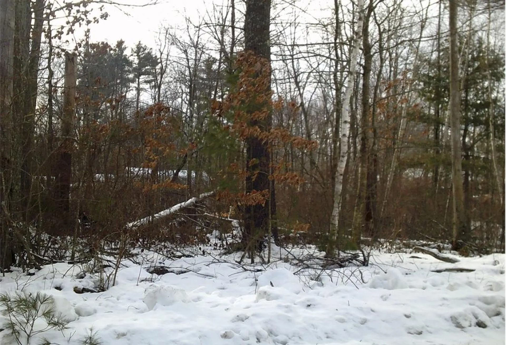 8 Mark Avenue Derry NH 03038