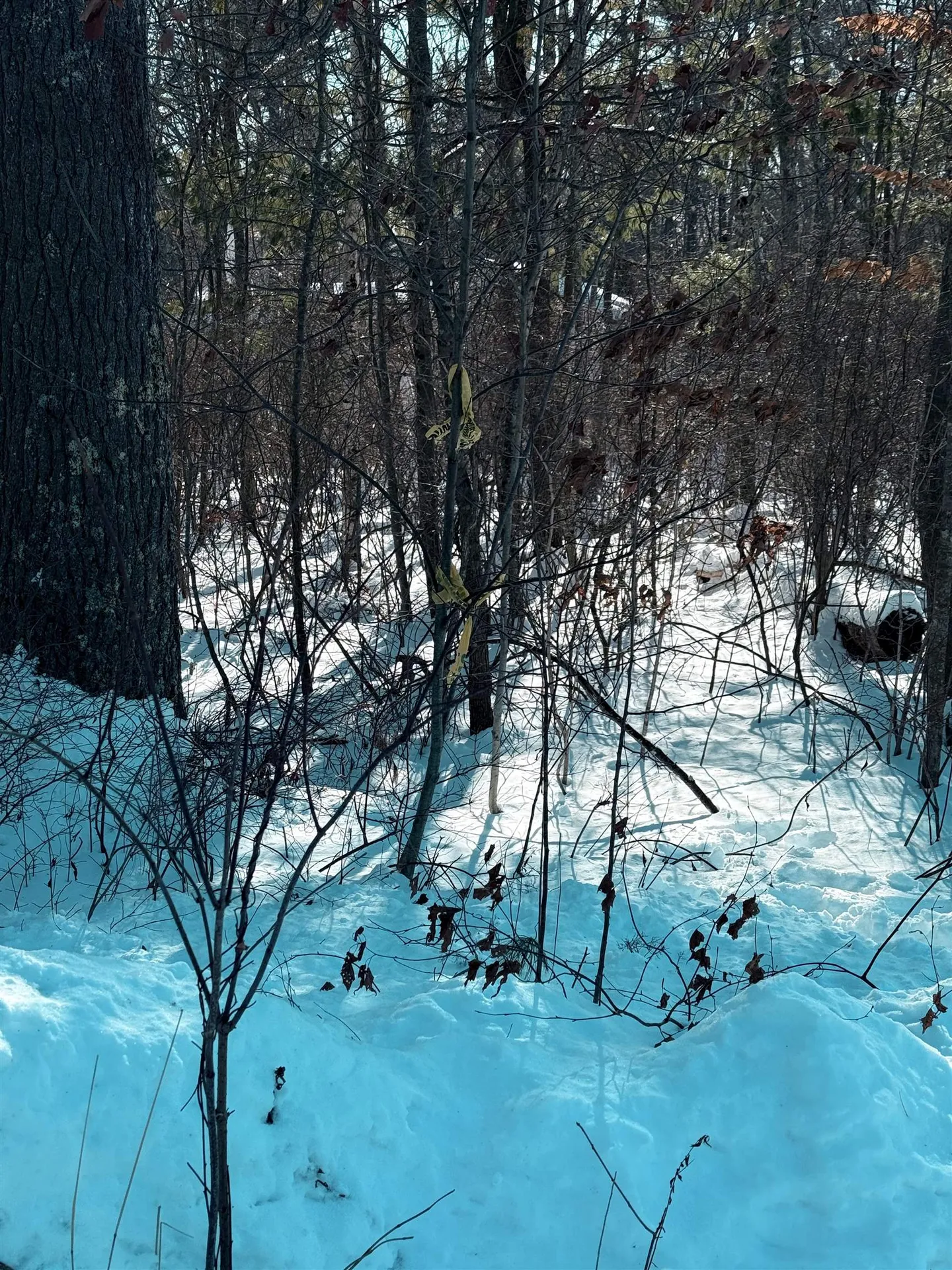 8 Mark Avenue Derry NH 03038