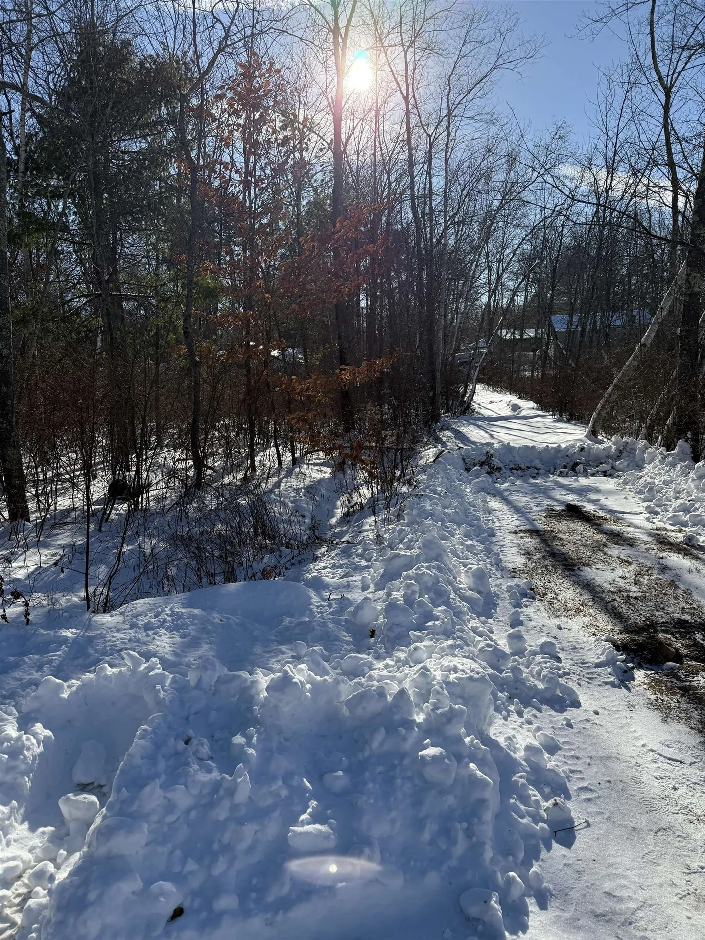 8 Mark Avenue Derry NH 03038