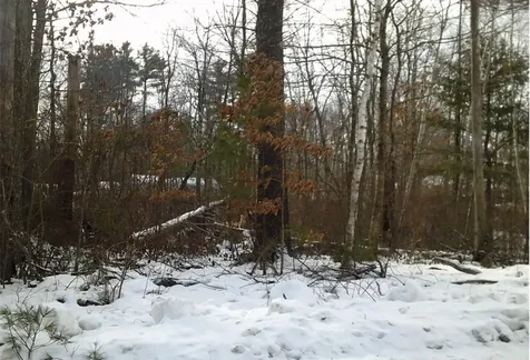 8 Mark Avenue Derry NH 03038