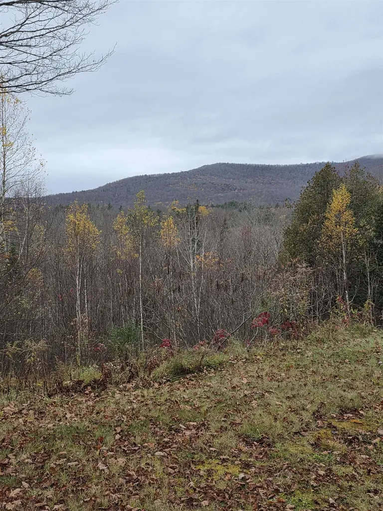 1846 Dartt Hill Road Bethel VT 05032