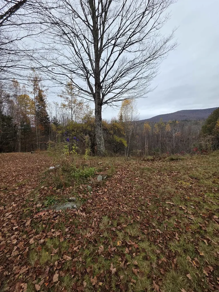 1846 Dartt Hill Road Bethel VT 05032
