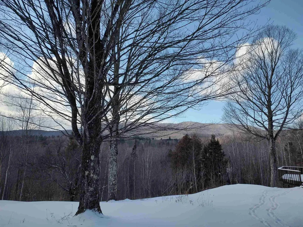 1846 Dartt Hill Road Bethel VT 05032