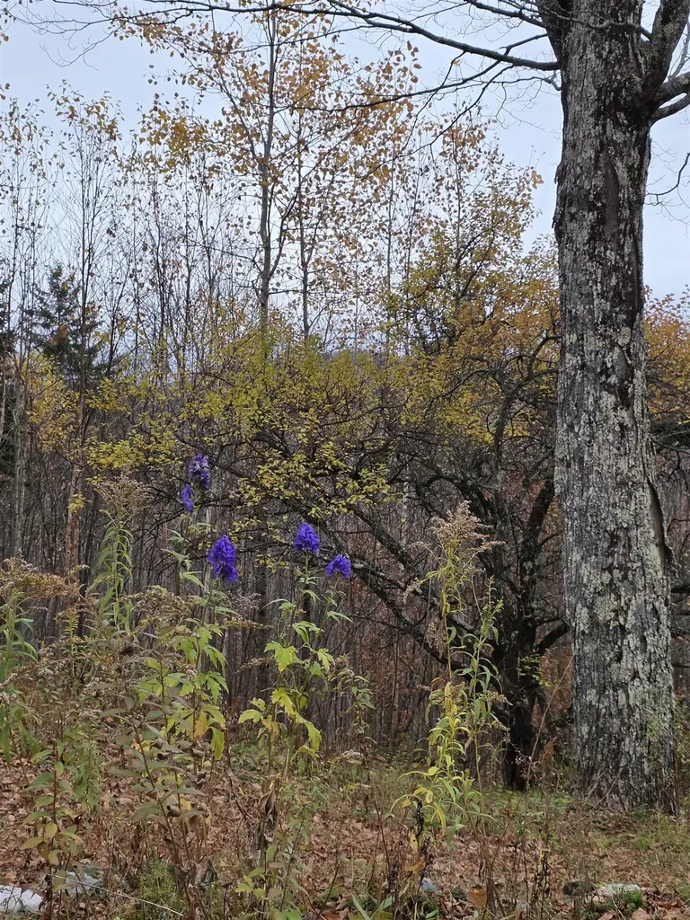 1846 Dartt Hill Road Bethel VT 05032