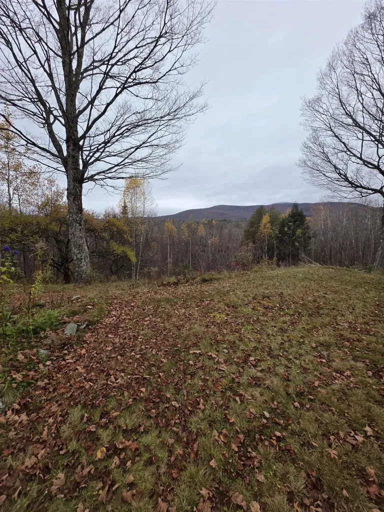 1846 Dartt Hill Road Bethel VT 05032