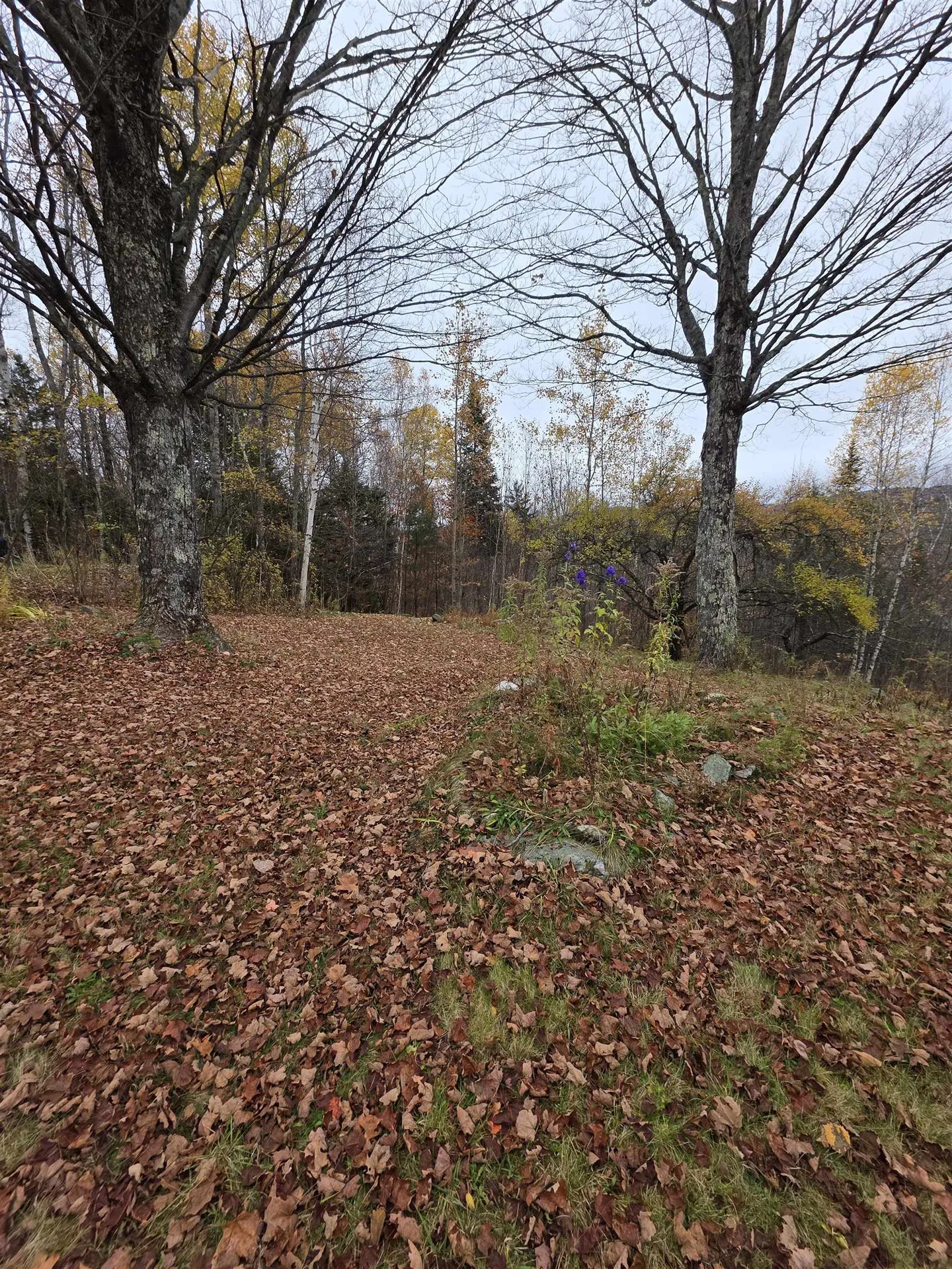 1846 Dartt Hill Road Bethel VT 05032