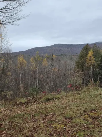 1846 Dartt Hill Road Bethel VT 05032