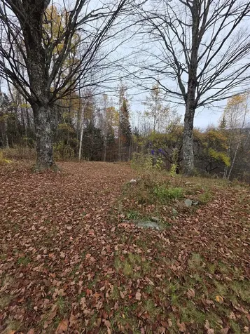 1846 Dartt Hill Road Bethel VT 05032