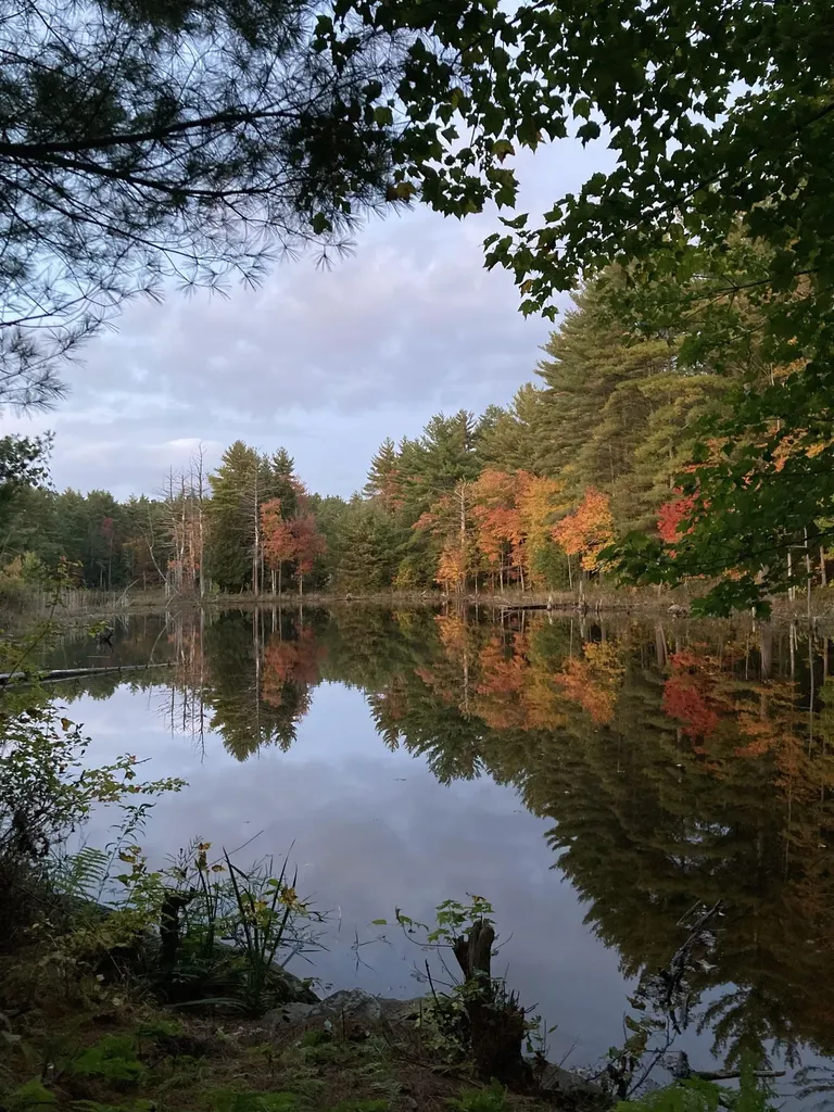 249 Villager Road Chester NH 03036