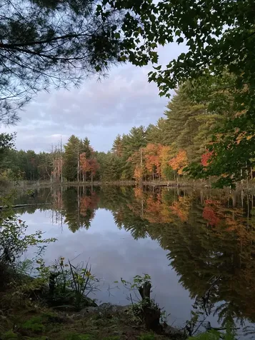 249 Villager Road Chester NH 03036