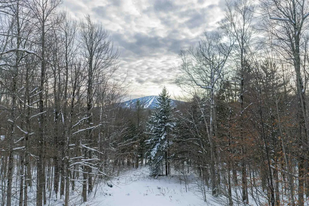 44 Lake Road Winhall VT 05340