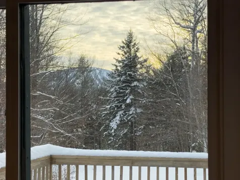 44 Lake Road Winhall VT 05340