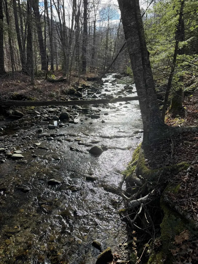 1720 Auger Hole Road Marlboro VT 05301