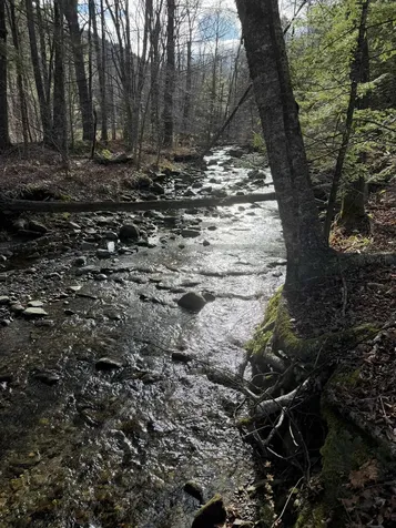 1720 Auger Hole Road Marlboro VT 05301