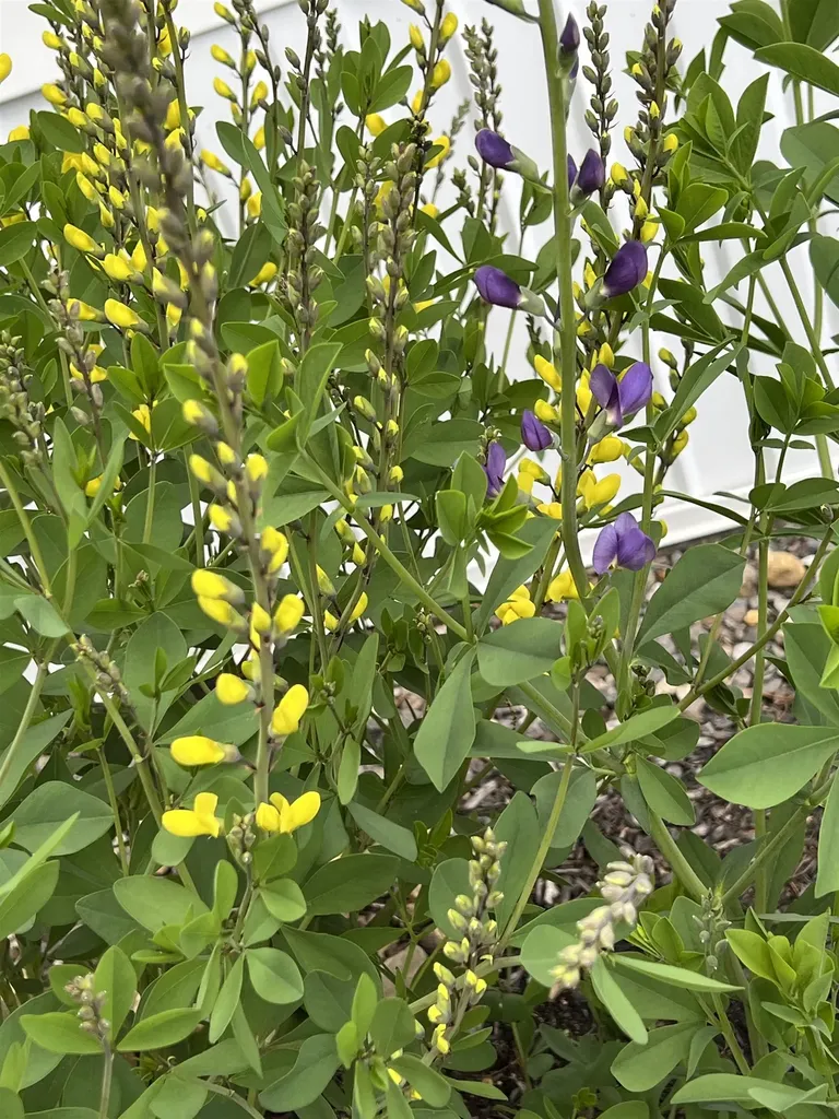 535 Darby Drive Belmont NH 03220