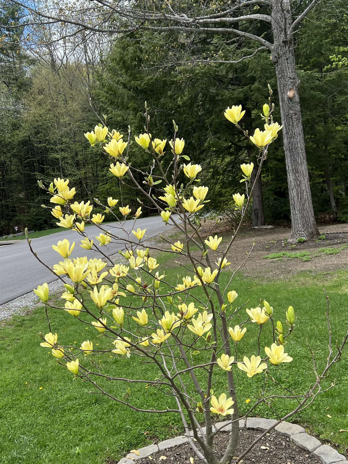 535 Darby Drive Belmont NH 03220