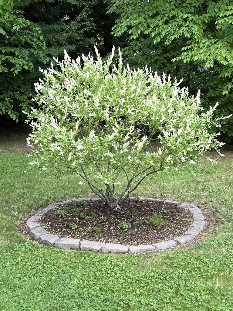 535 Darby Drive Belmont NH 03220