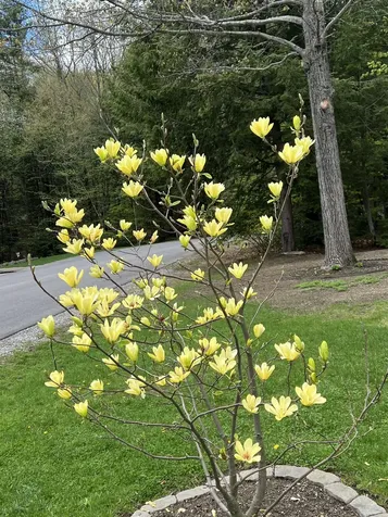 535 Darby Drive Belmont NH 03220