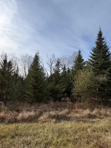 130 Watson Road Winchester NH 03470