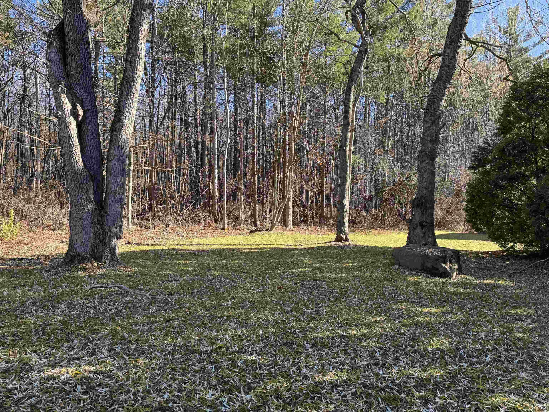 17 Twin Circle Middlebury VT 05753