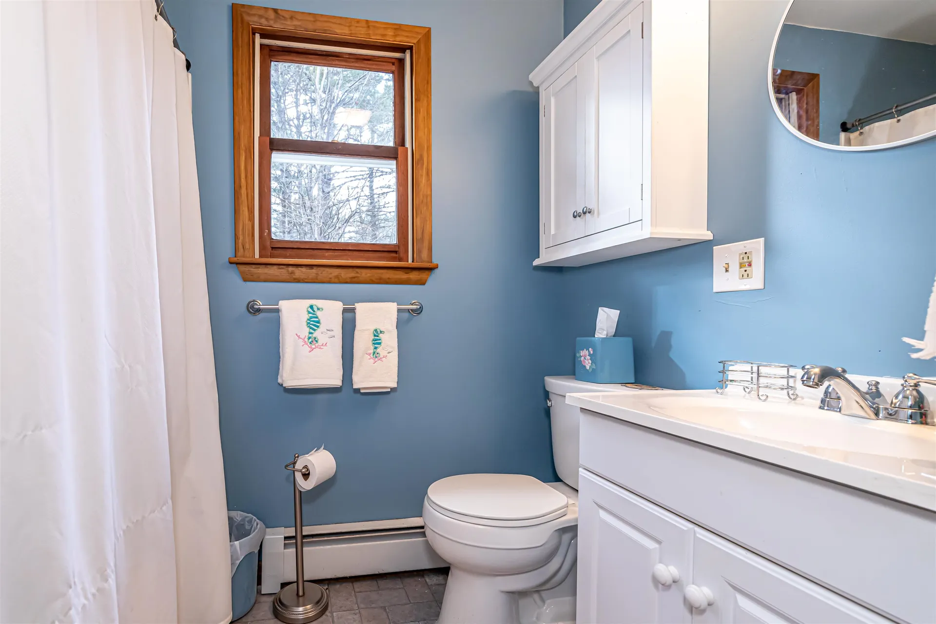 10 Serenitas Lane Goffstown NH 03045