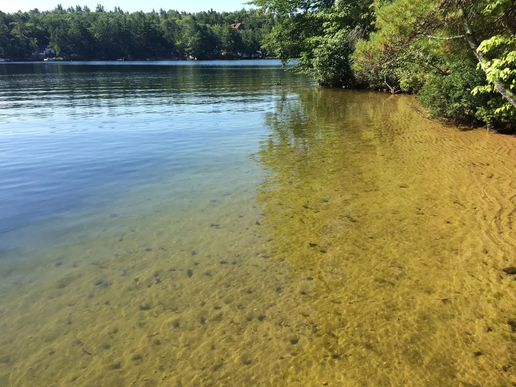 115 Chandler Lane Wakefield NH 03830