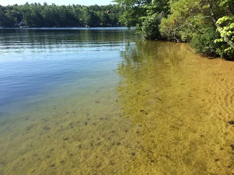 115 Chandler Lane Wakefield NH 03830