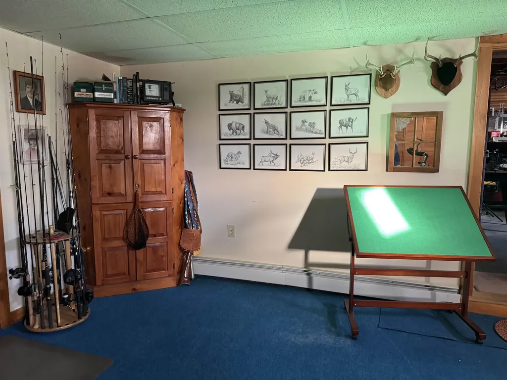 29 Mount Pleasant Drive Brandon VT 05733