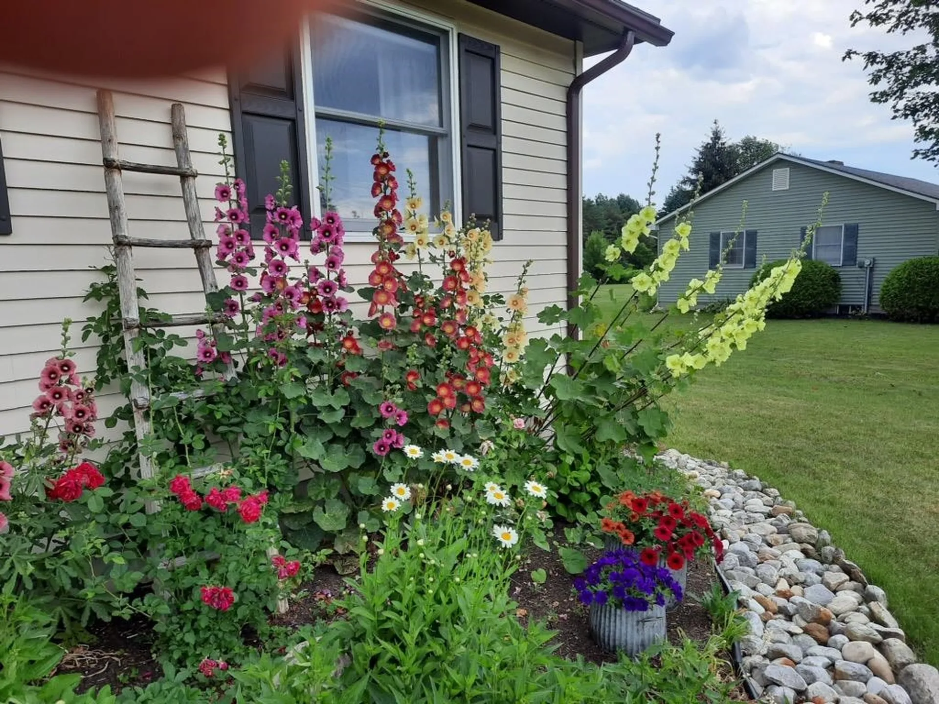 29 Mount Pleasant Drive Brandon VT 05733