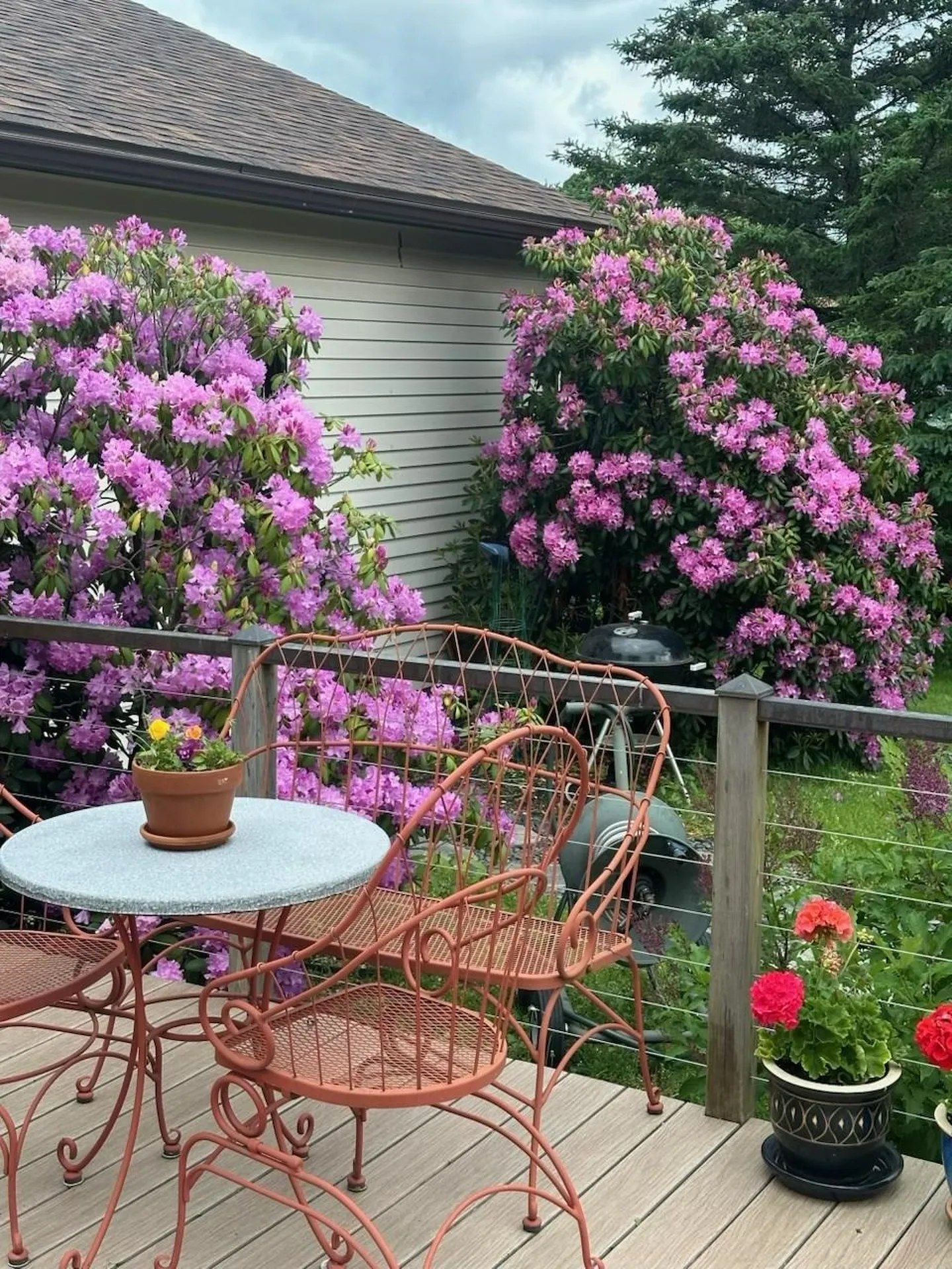 29 Mount Pleasant Drive Brandon VT 05733