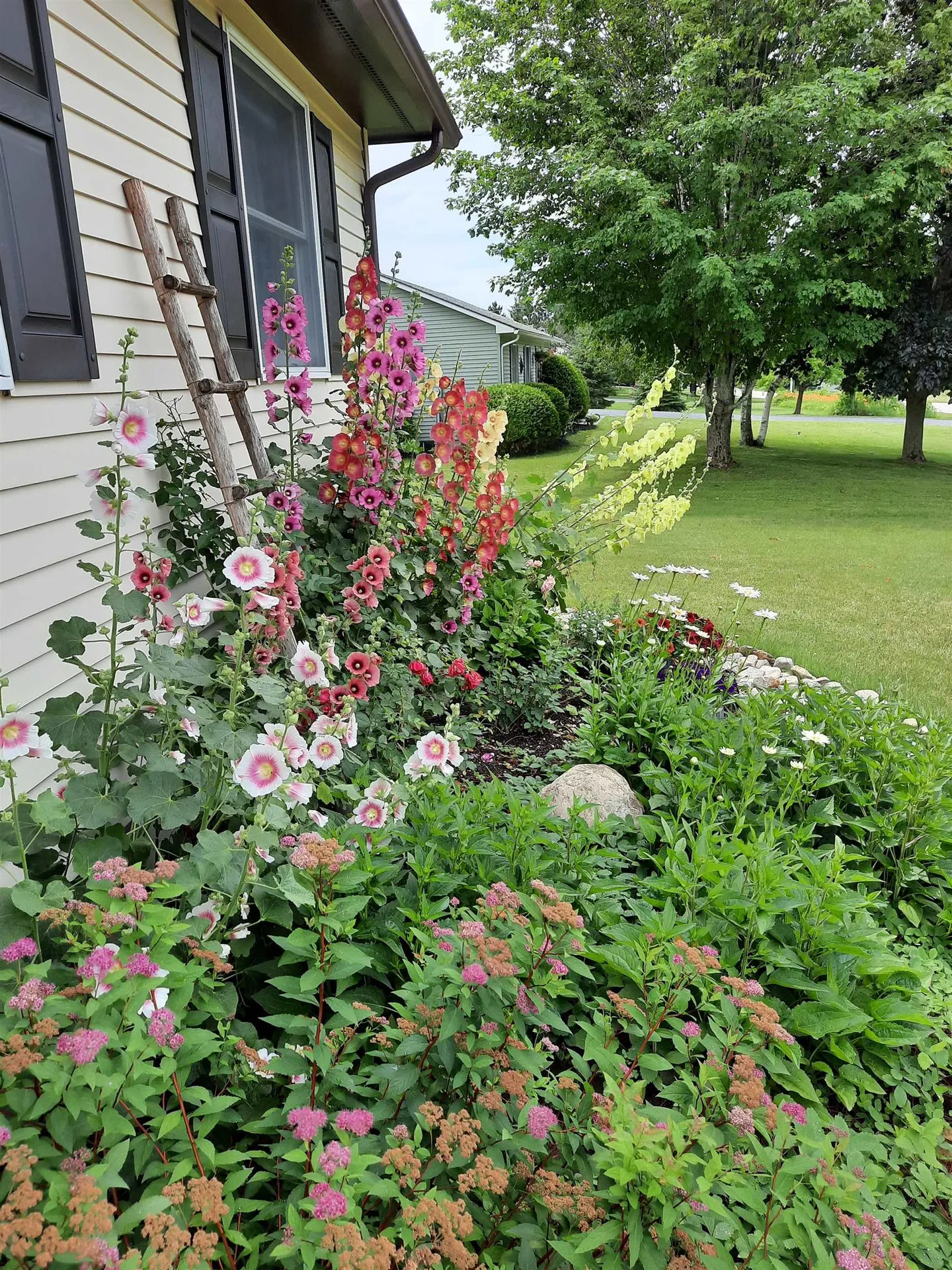 29 Mount Pleasant Drive Brandon VT 05733