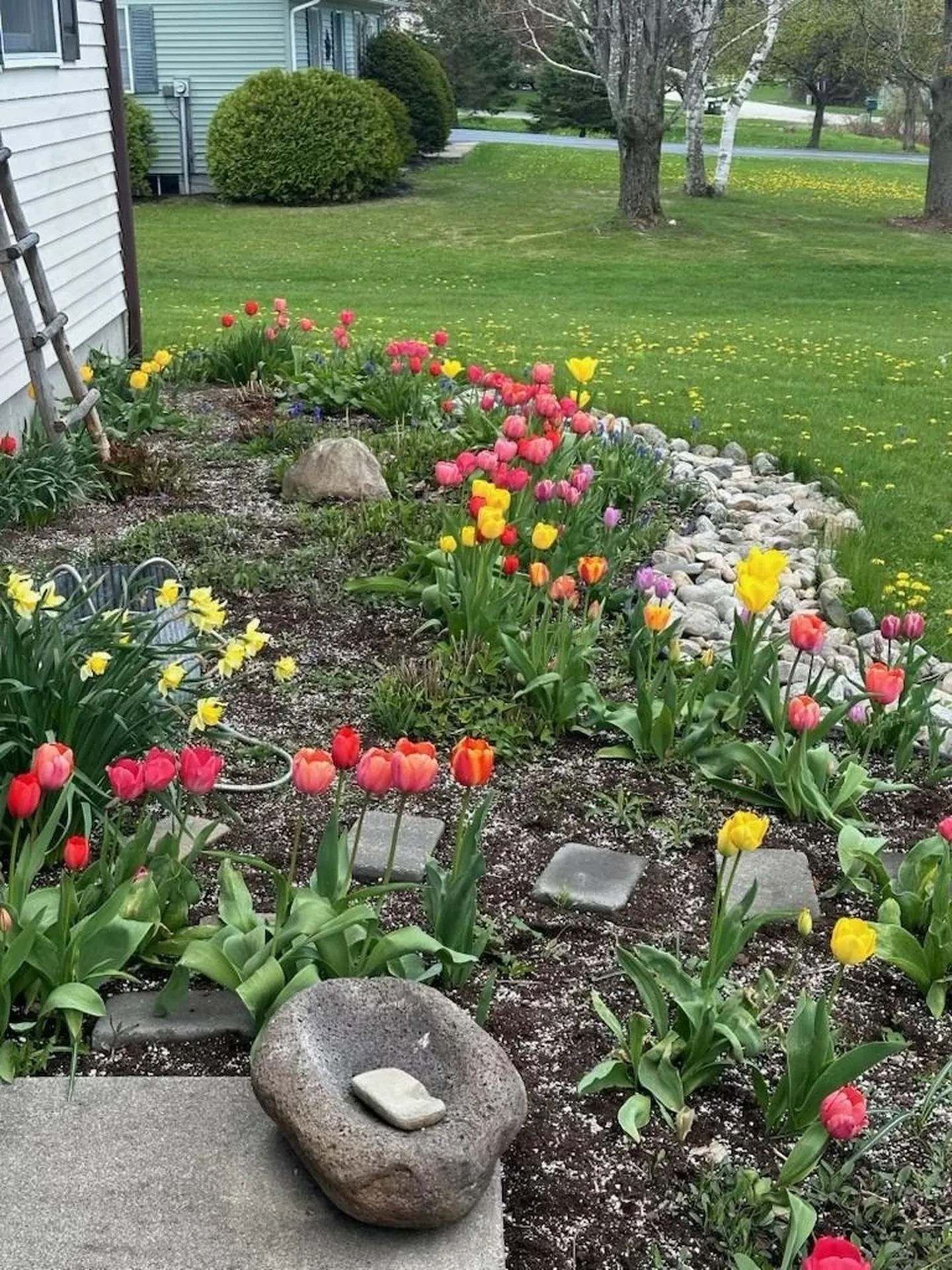 29 Mount Pleasant Drive Brandon VT 05733