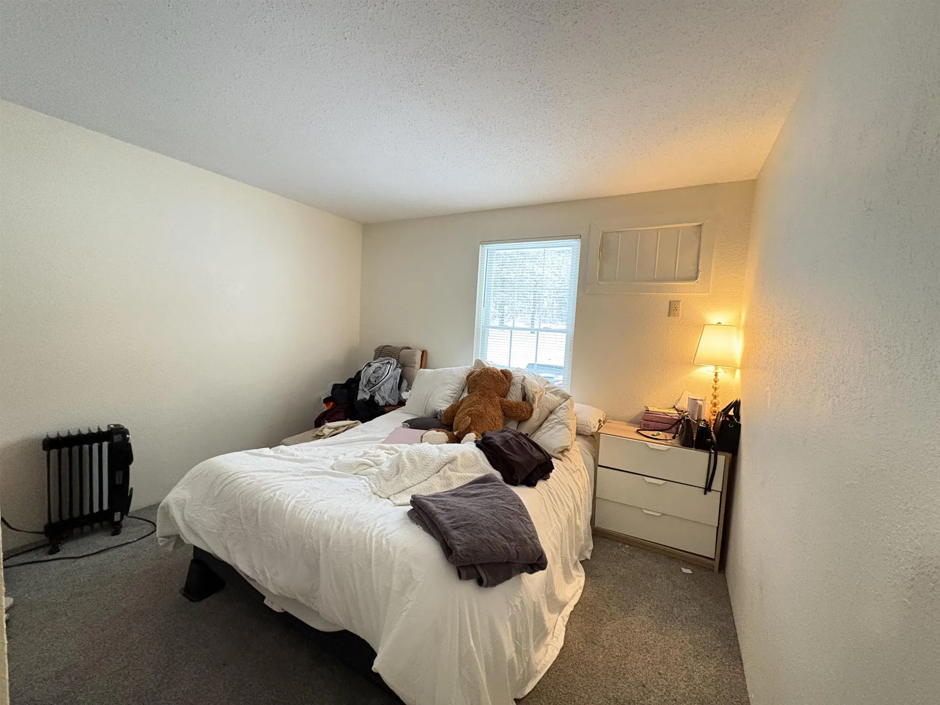 20 Wolf Road Lebanon NH 03766