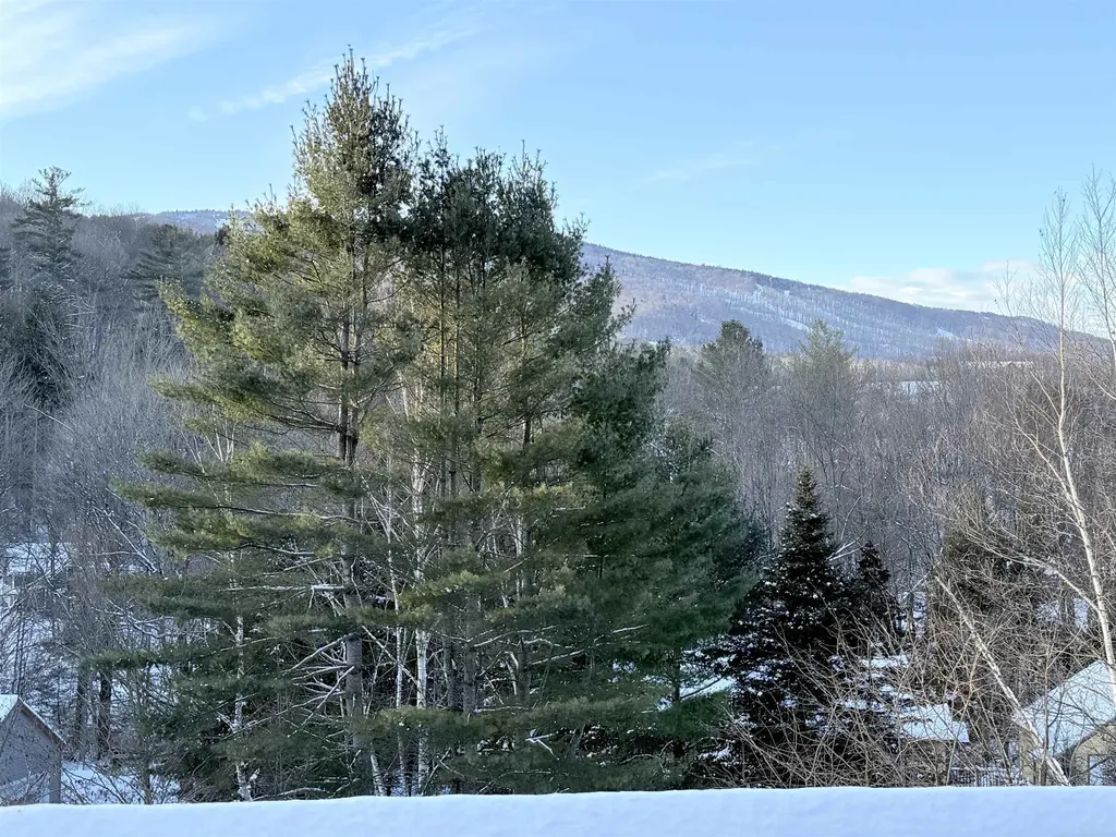 32 Plumley Avenue Ludlow VT 05149