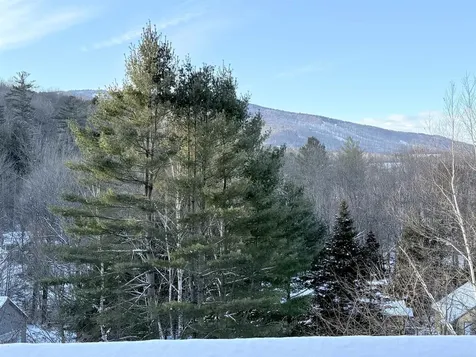 32 Plumley Avenue Ludlow VT 05149