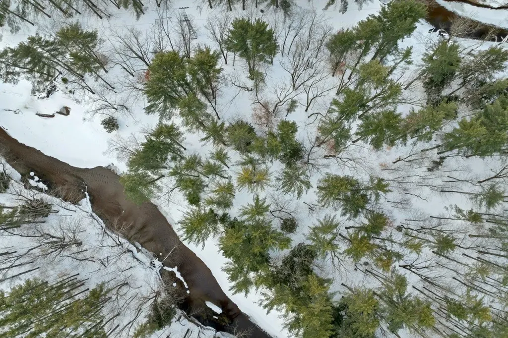 330 Newman Drew Road Ossipee NH 03890