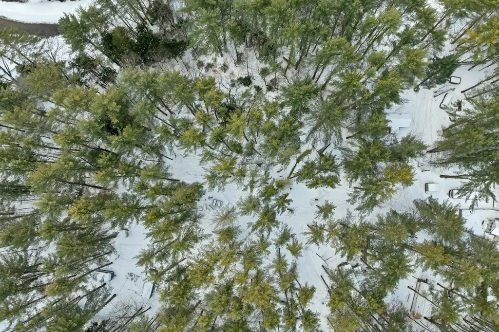 330 Newman Drew Road Ossipee NH 03890