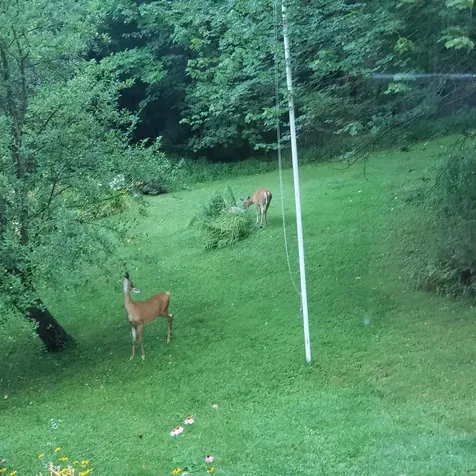 118 North Road Sunapee NH 03782