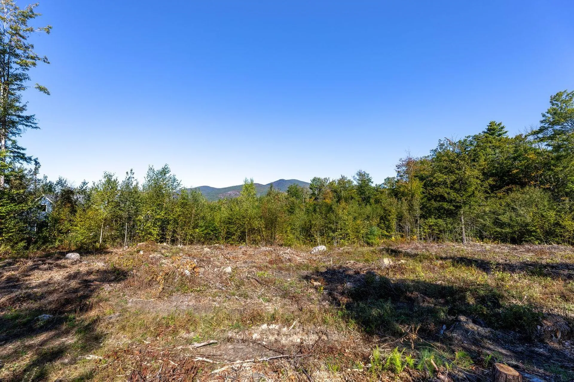 17 Sedgewood Drive Tuftonboro NH 03816