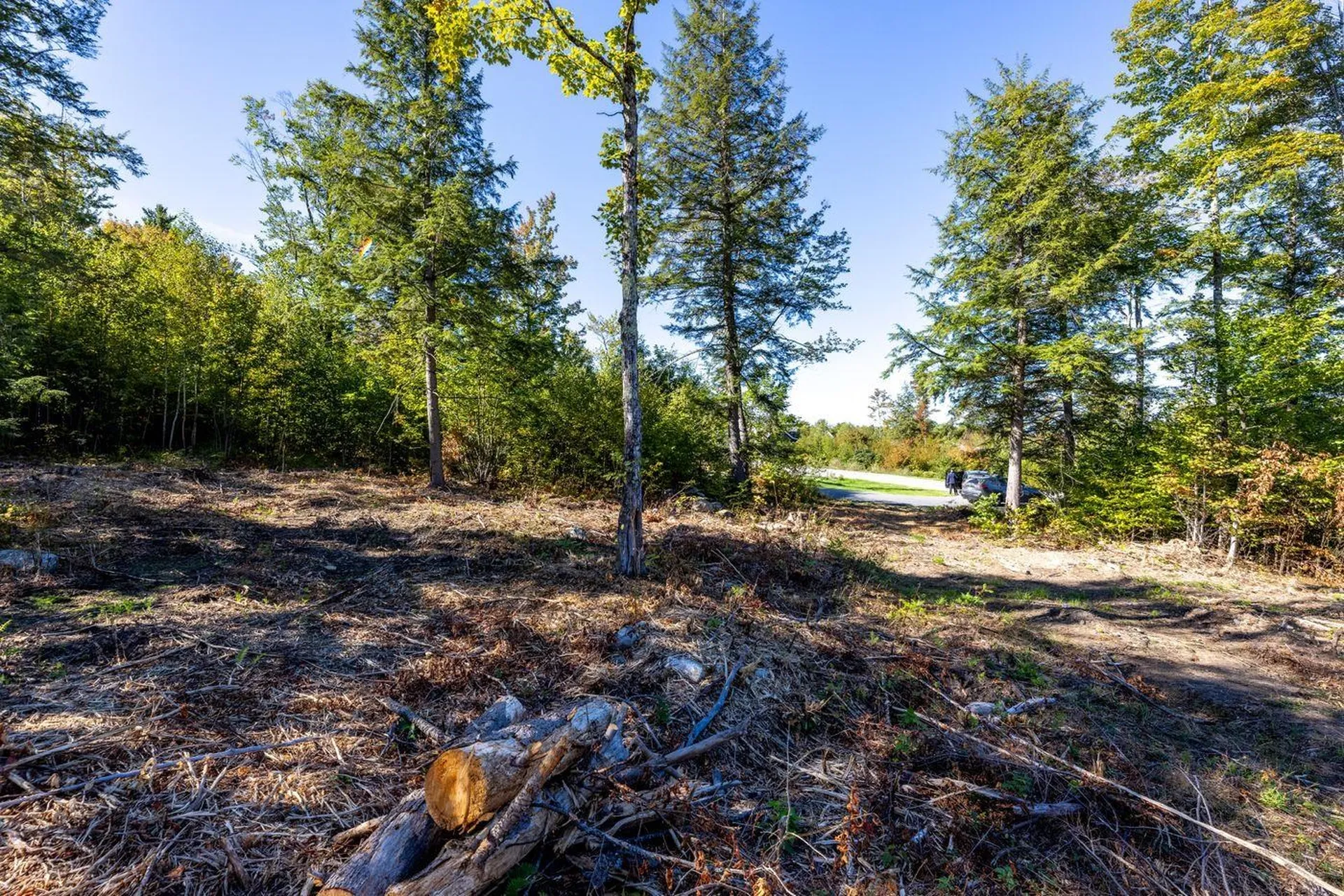 17 Sedgewood Drive Tuftonboro NH 03816